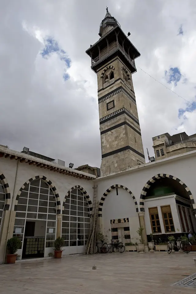 جامع الأقصاب
