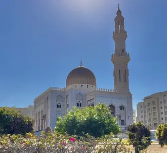 مسجد الزواوي