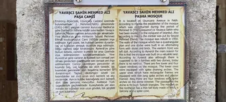 ياواشتشي شاهين ميهميت الي جامي