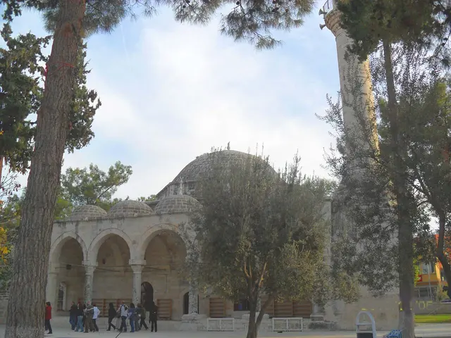 مسجد لال باشا