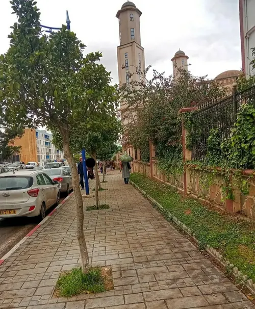 مسجد ابن خلدون