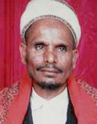 محمد حسين عامر