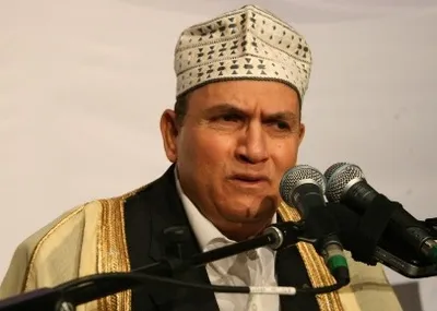 أحمد نعينع، الصورة 3
