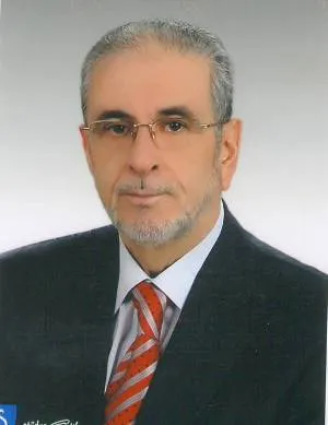 إلهان توك، الصورة 3
