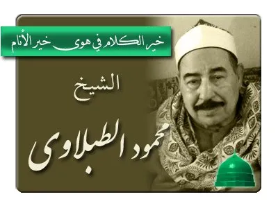 محمد محمود الطبلاوي، الصورة 10