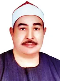 محمد محمود الطبلاوي، الصورة 11