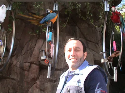 محمد جبريل، الصورة 12