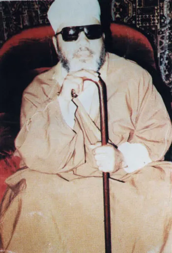 عبد الحميد كشك، الصورة 8