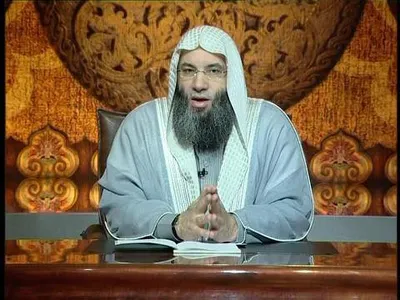 محمد حسان، الصورة 12